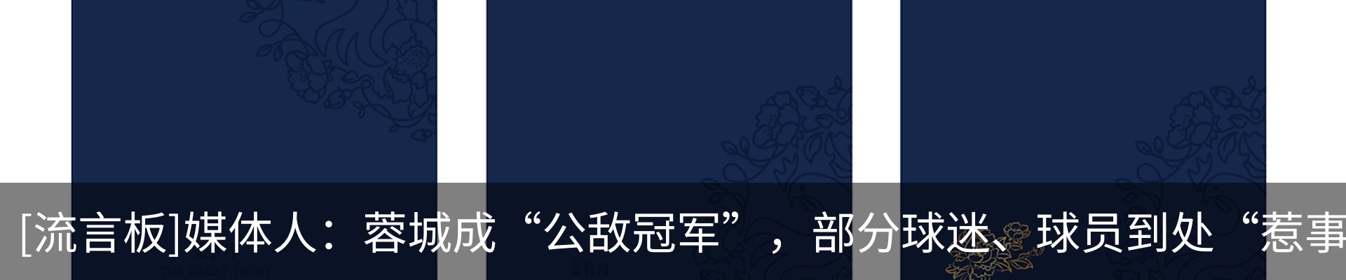 最新动态
